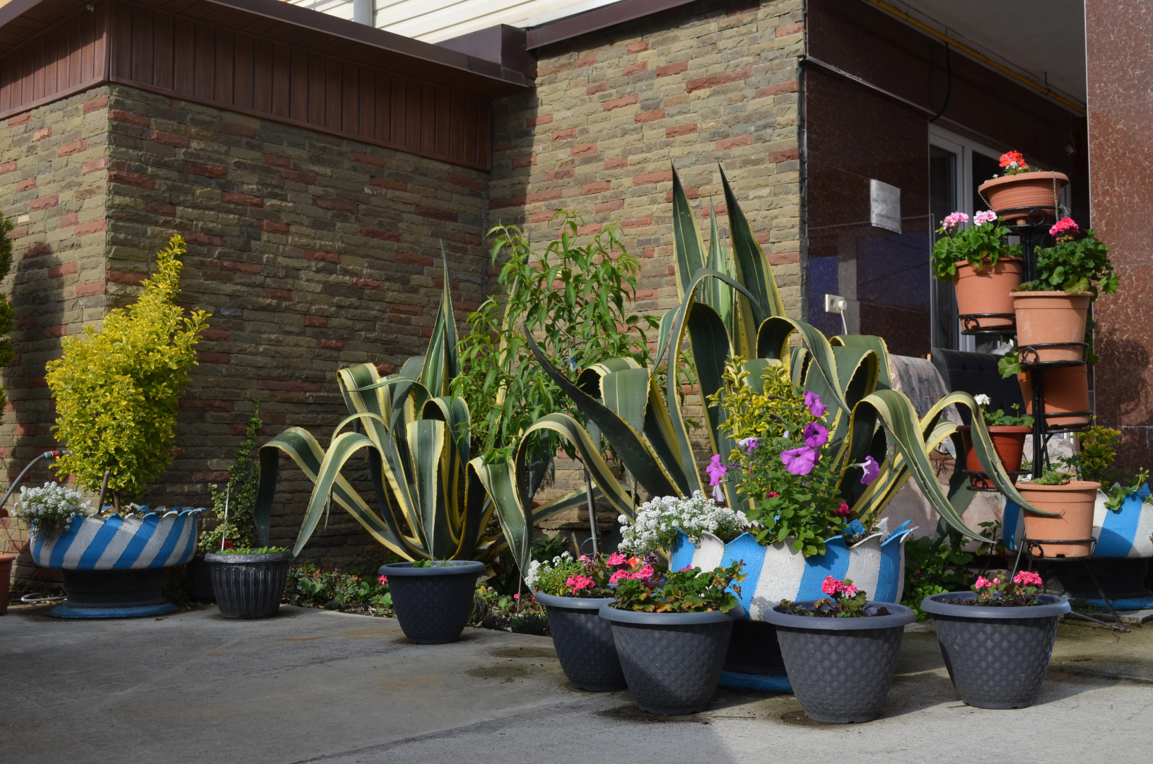 Гостевой Дом Джемма