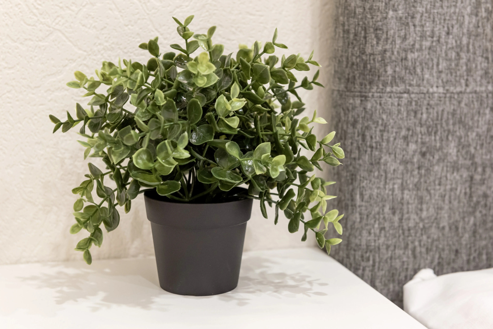 Апартаменты 1 комнатные 2+2 "Комфорт+" в Преображенском на Московском