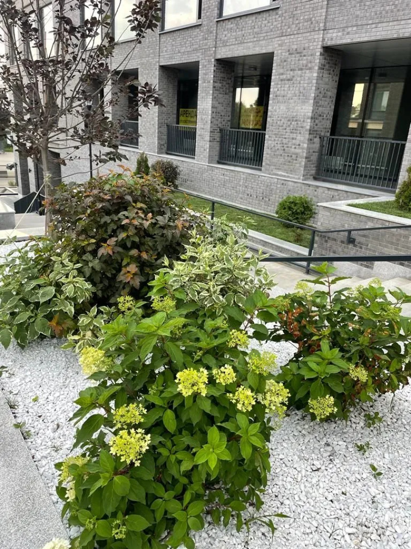 Апартаменты на набережной 4