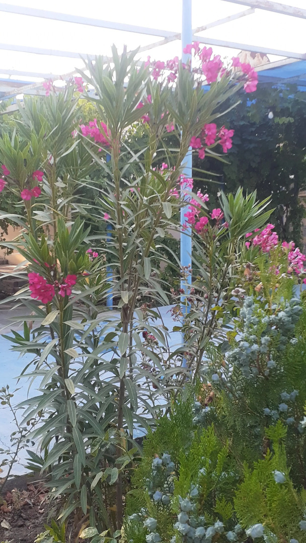 Гостевой дом Морская сказка