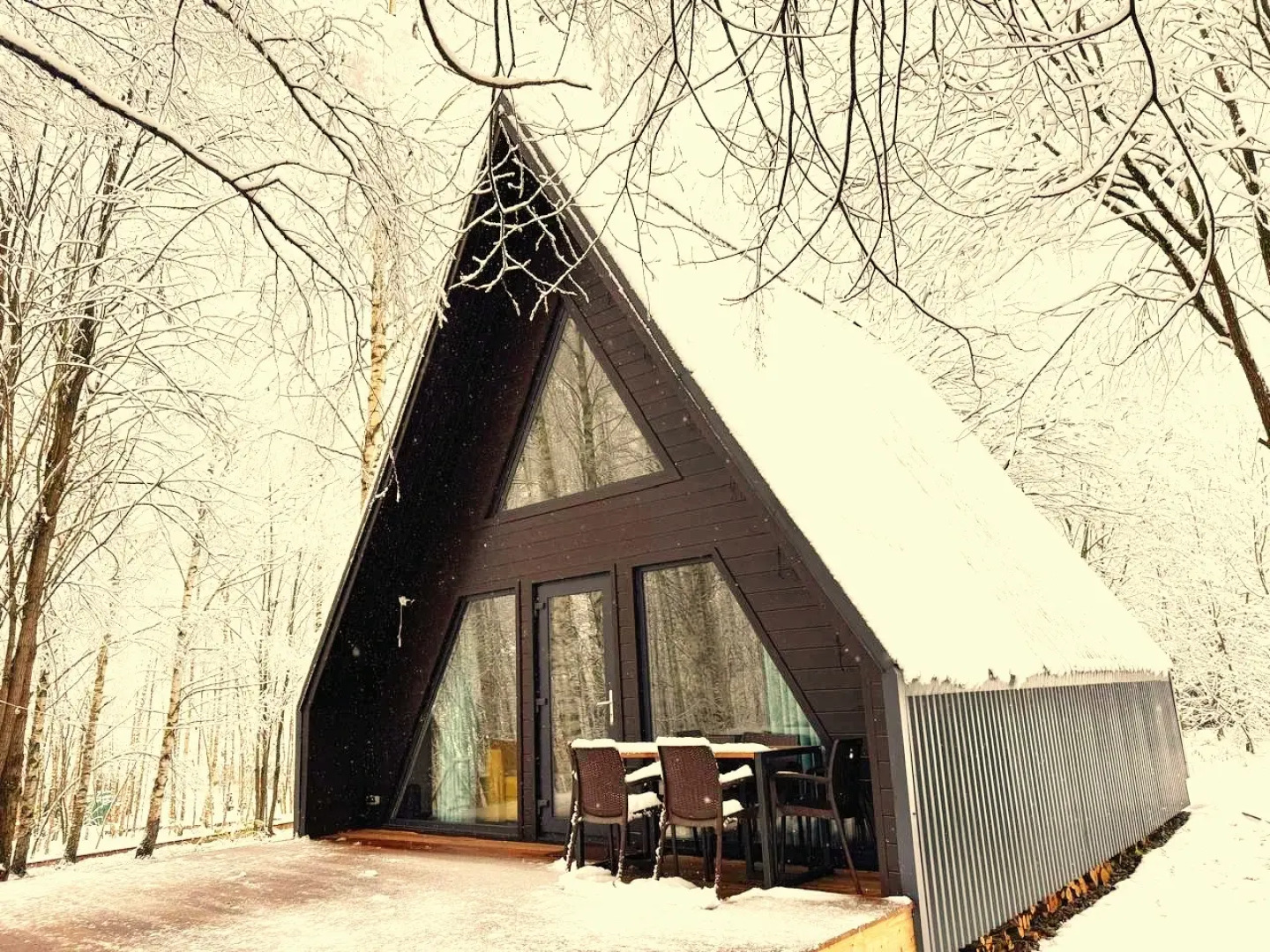 Частный дом с камином