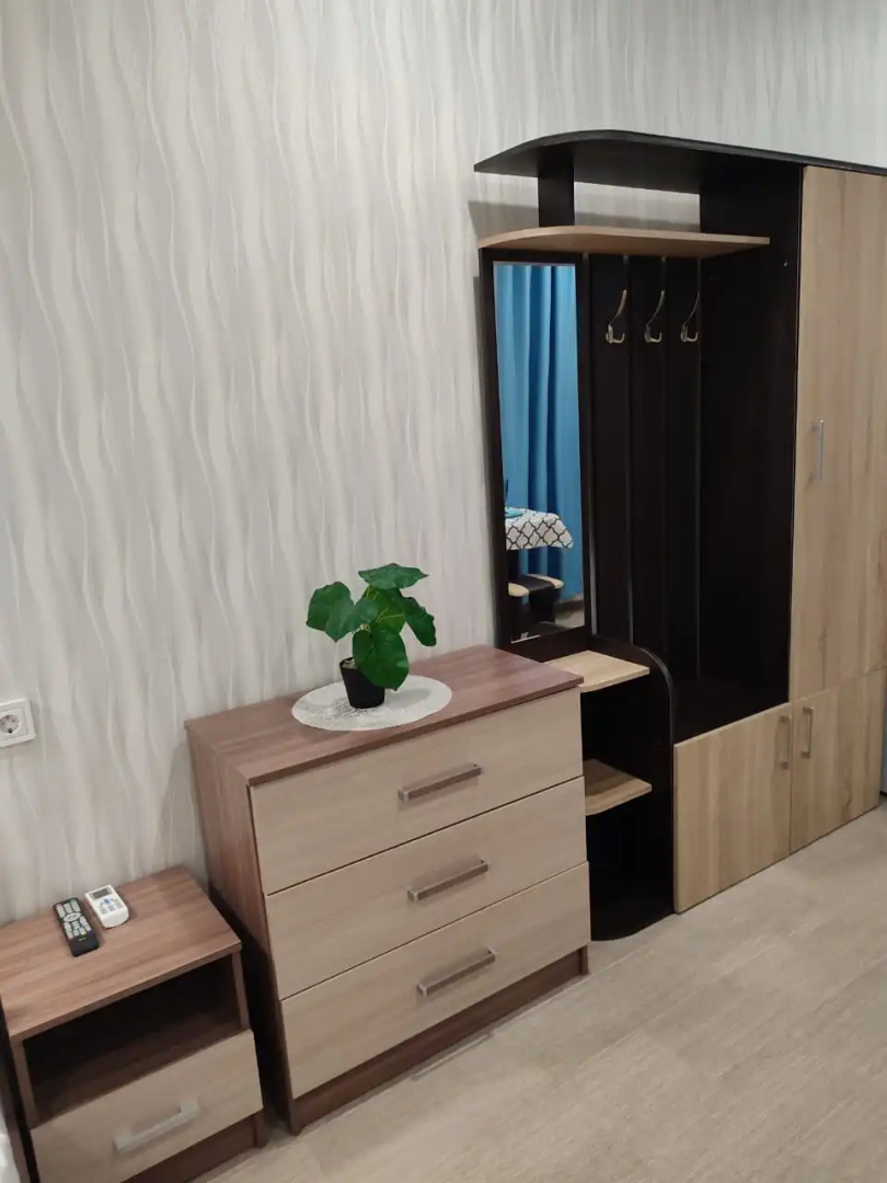 Апартаменты Просторная студия на Ленина 195