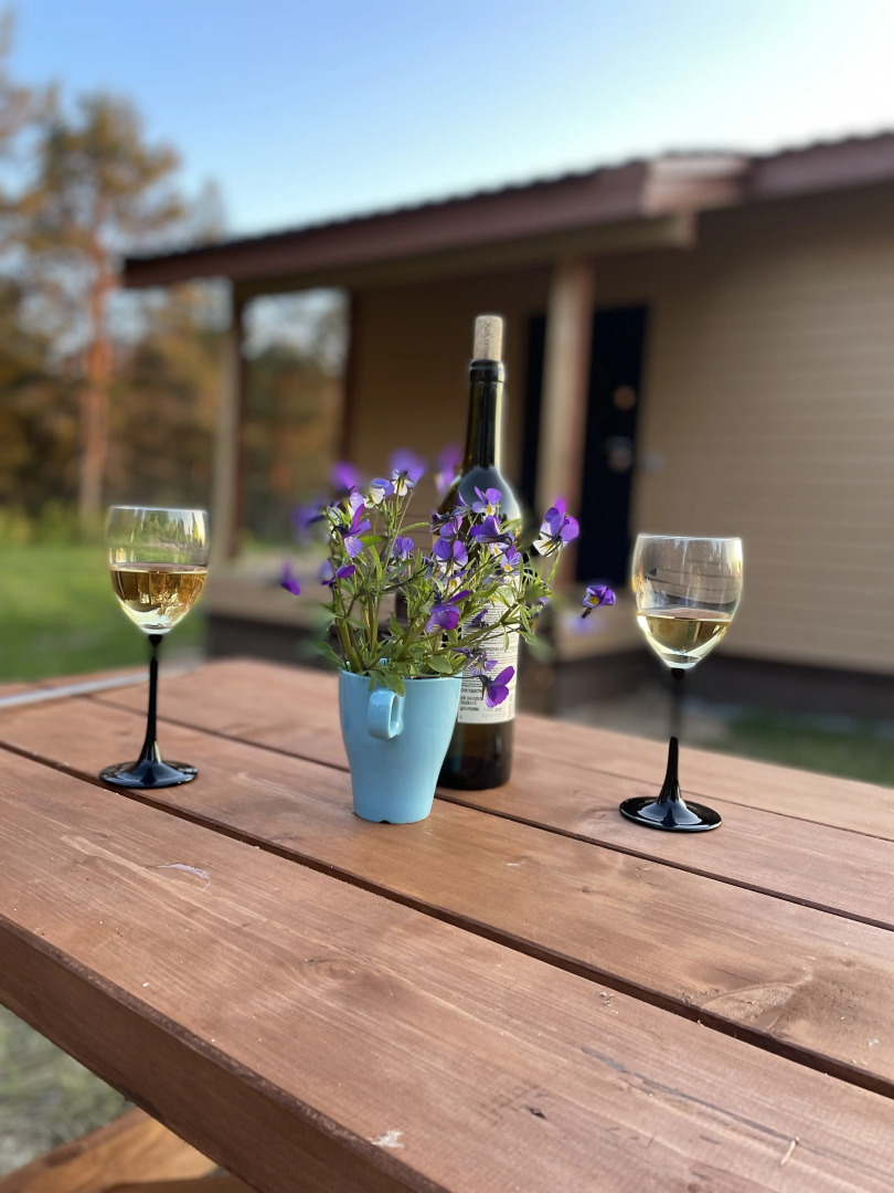 Частный дом на Онежской 24в