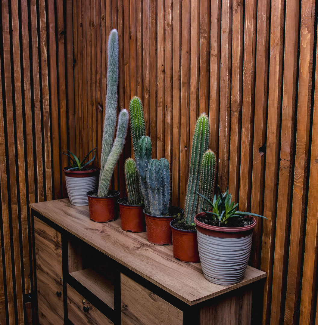 Отель Арт-Отель