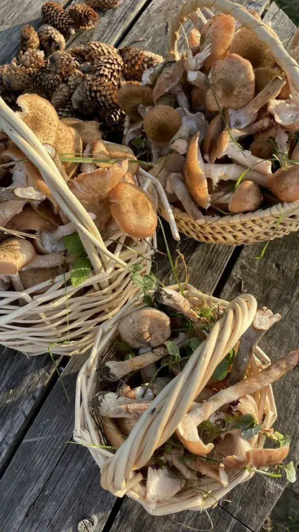 Частный дом 75