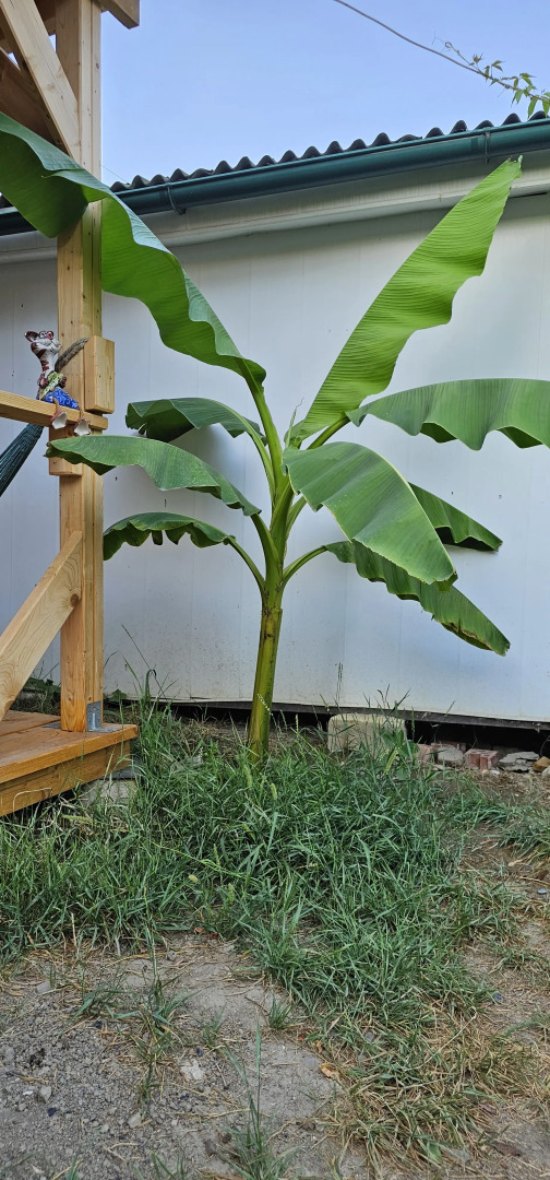 Гостевой Дом Янаки