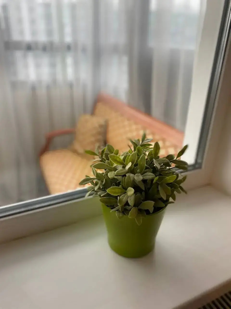 Апартаменты Novogorelovo appart 161