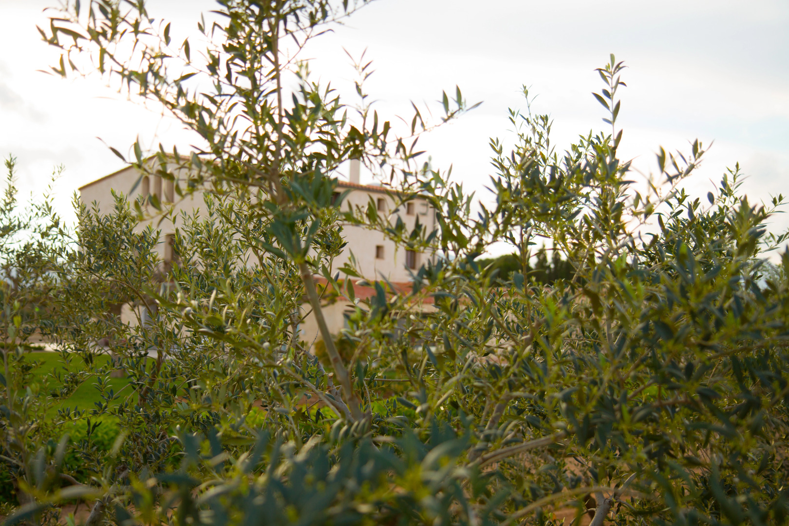 Мини-Отель Mas Montbrio Belvedere