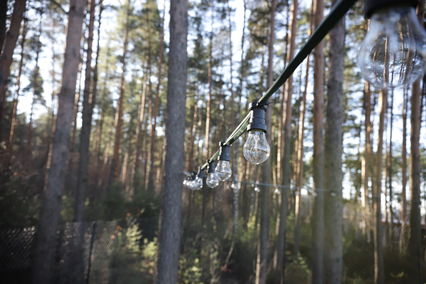 Гостевой дом Дом у леса