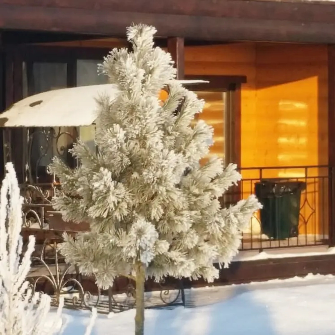 База отдыха Экопарк FishPlace