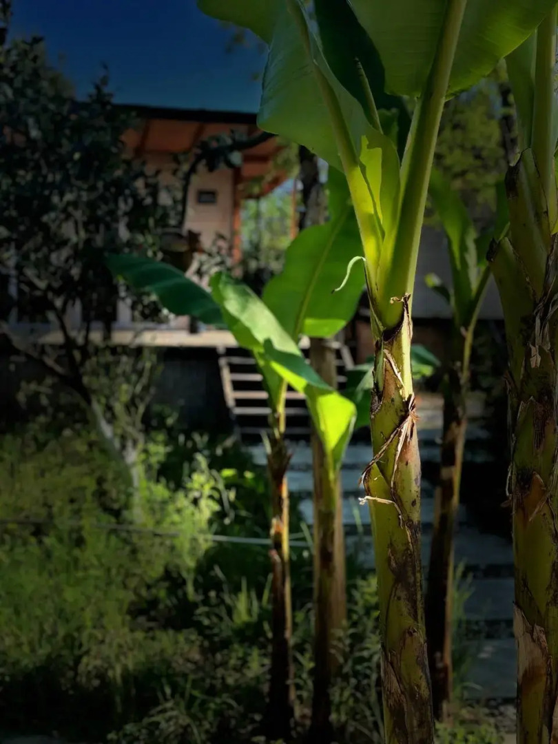 Мини-отель Aqua Palm Resort