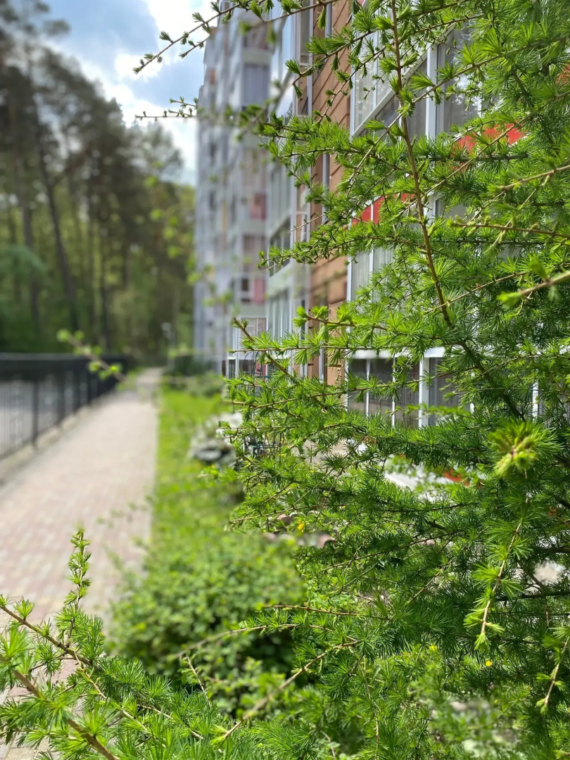 Квартира Sunny Forest