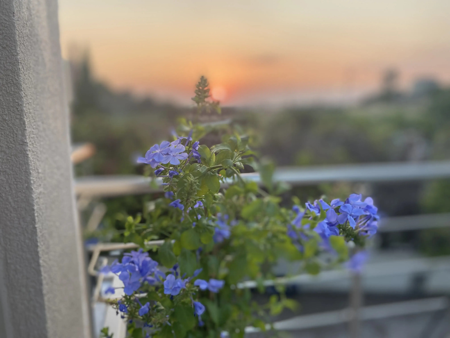 Апартаменты Aetheria Roof Resort