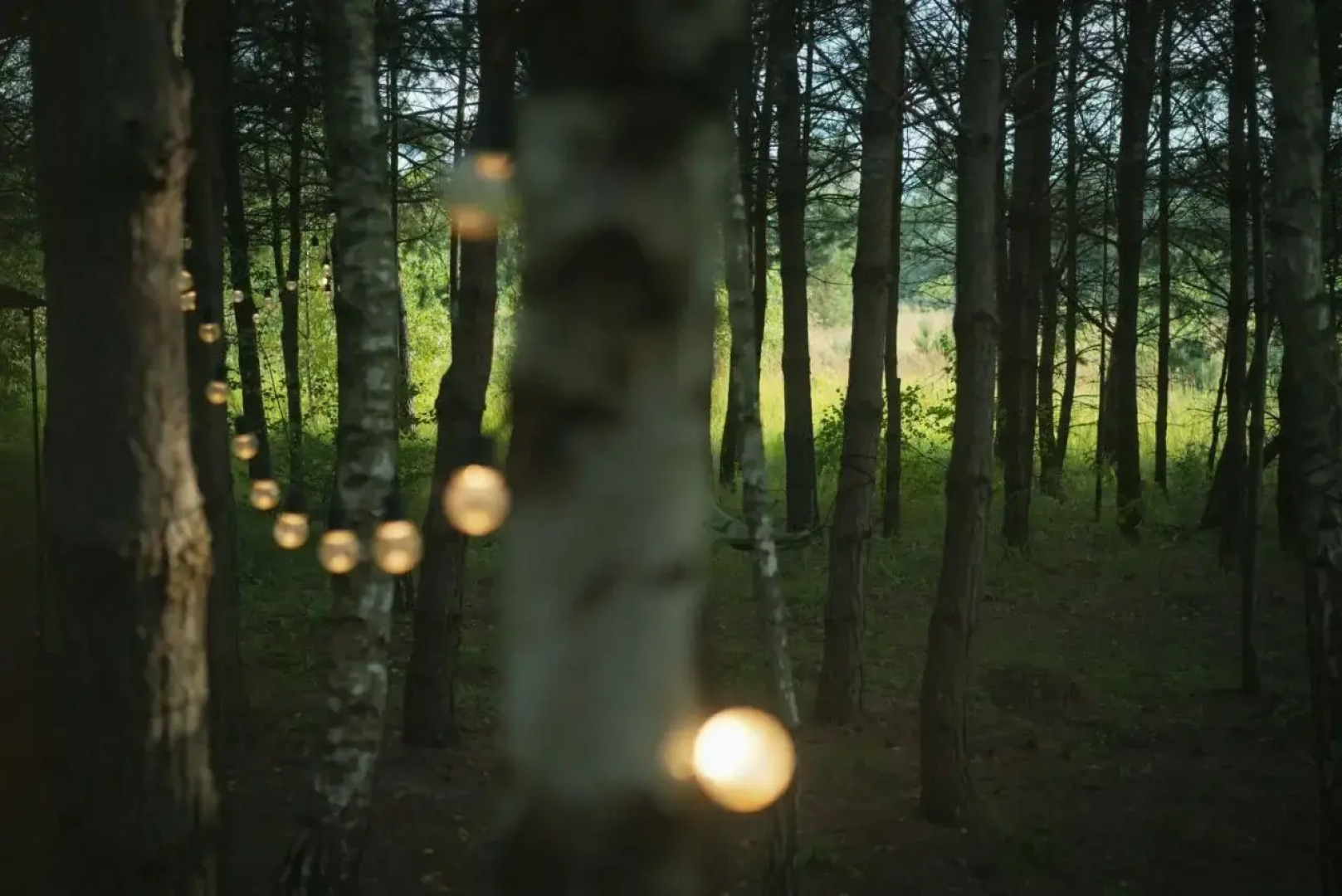 Глэмпинг Дача Хвоя