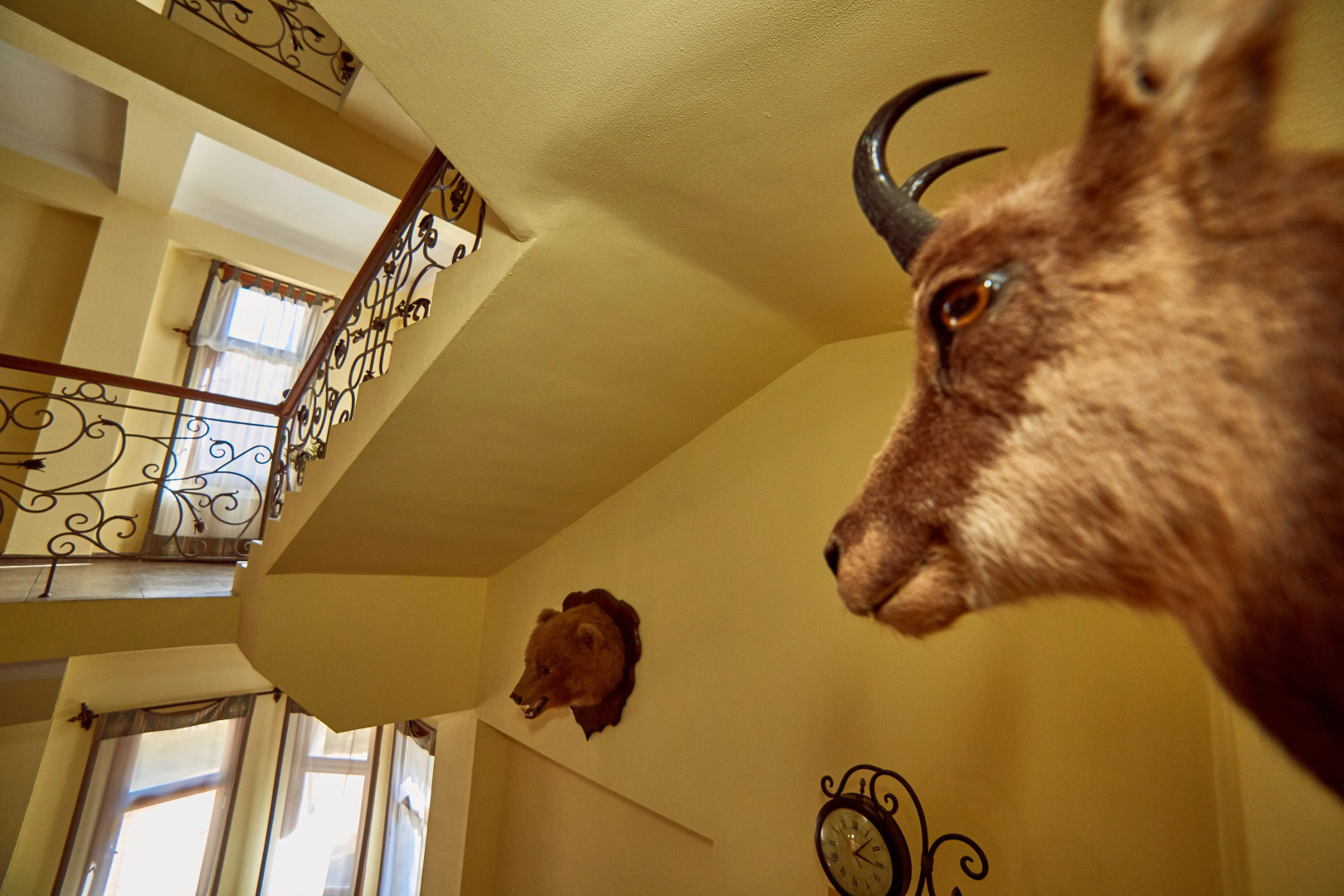 Отель Вилла Анна