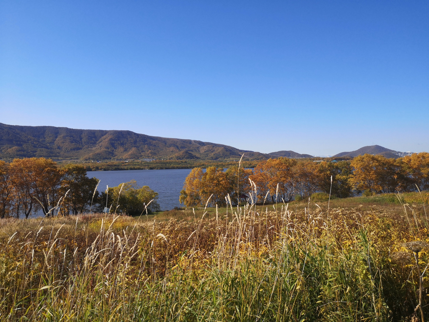 Мини-отель Шаде