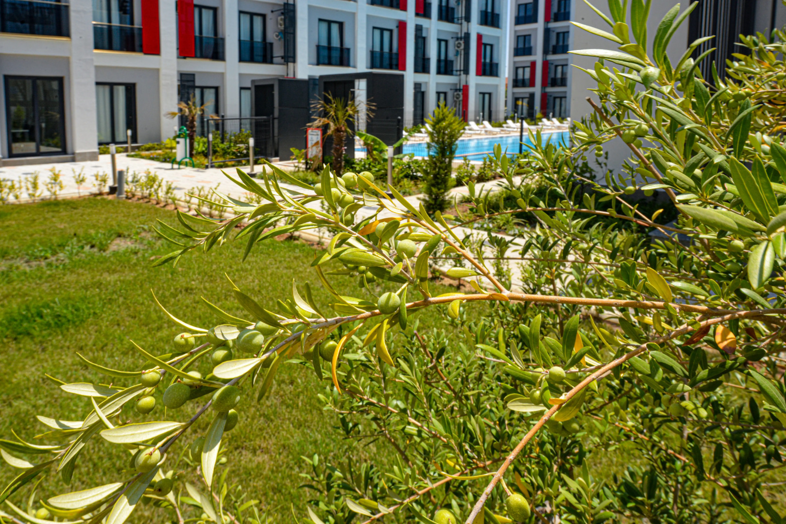 Отель C Suites Antalia Airport