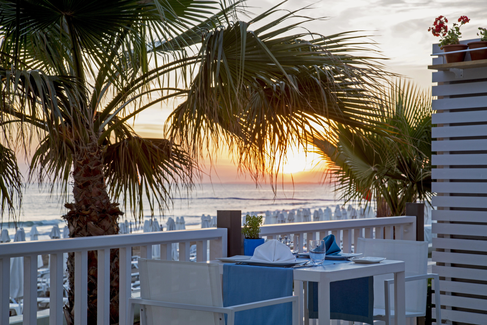 Acanthus Cennet Barut Collection - Ultra All Inclusive