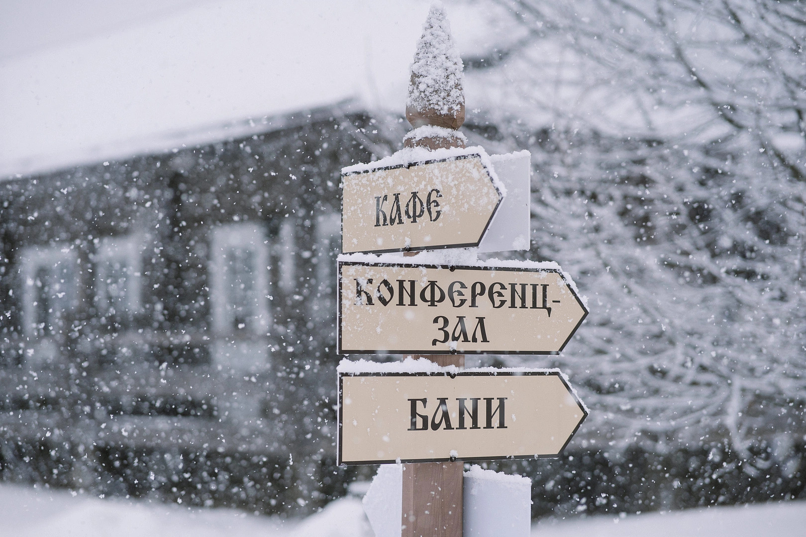 Литературный Отель Арина Р