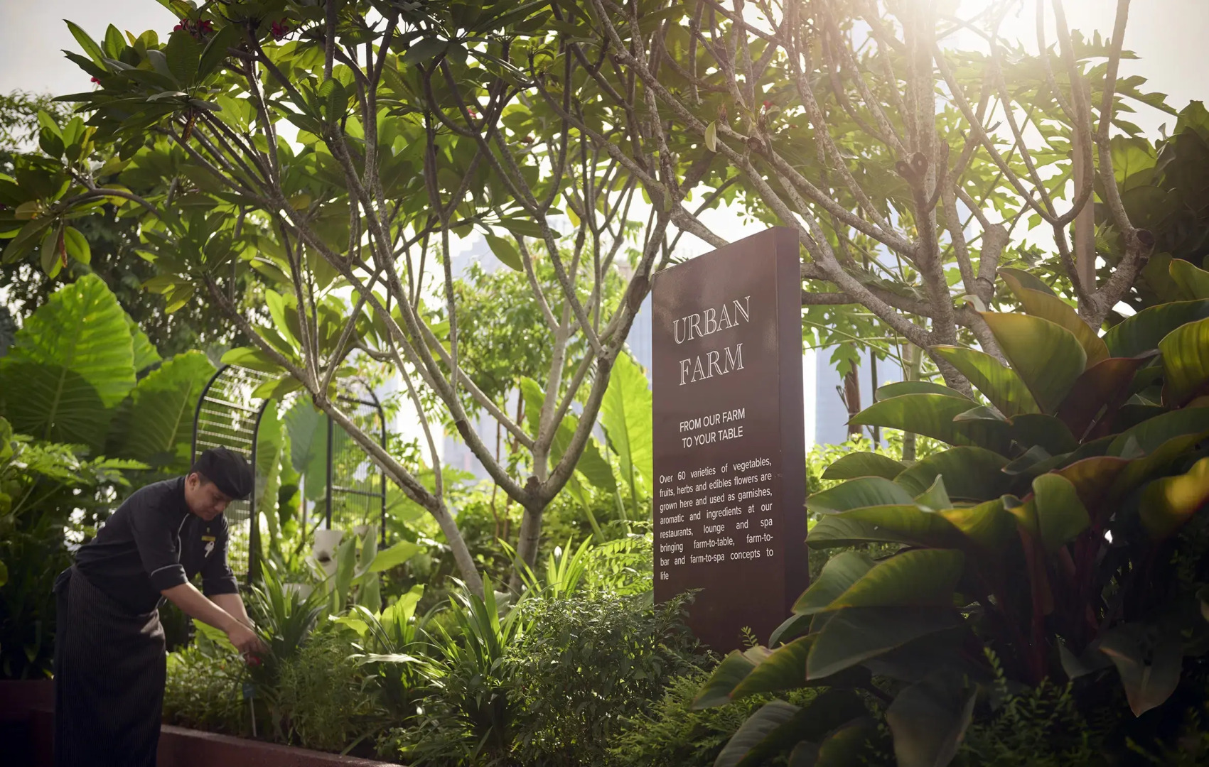 Отель PARKROYAL COLLECTION Kuala Lumpur