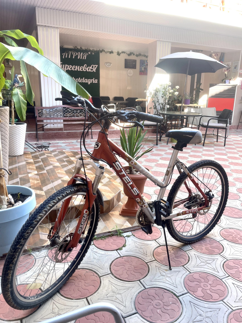 Гостевой дом Тургенева 97