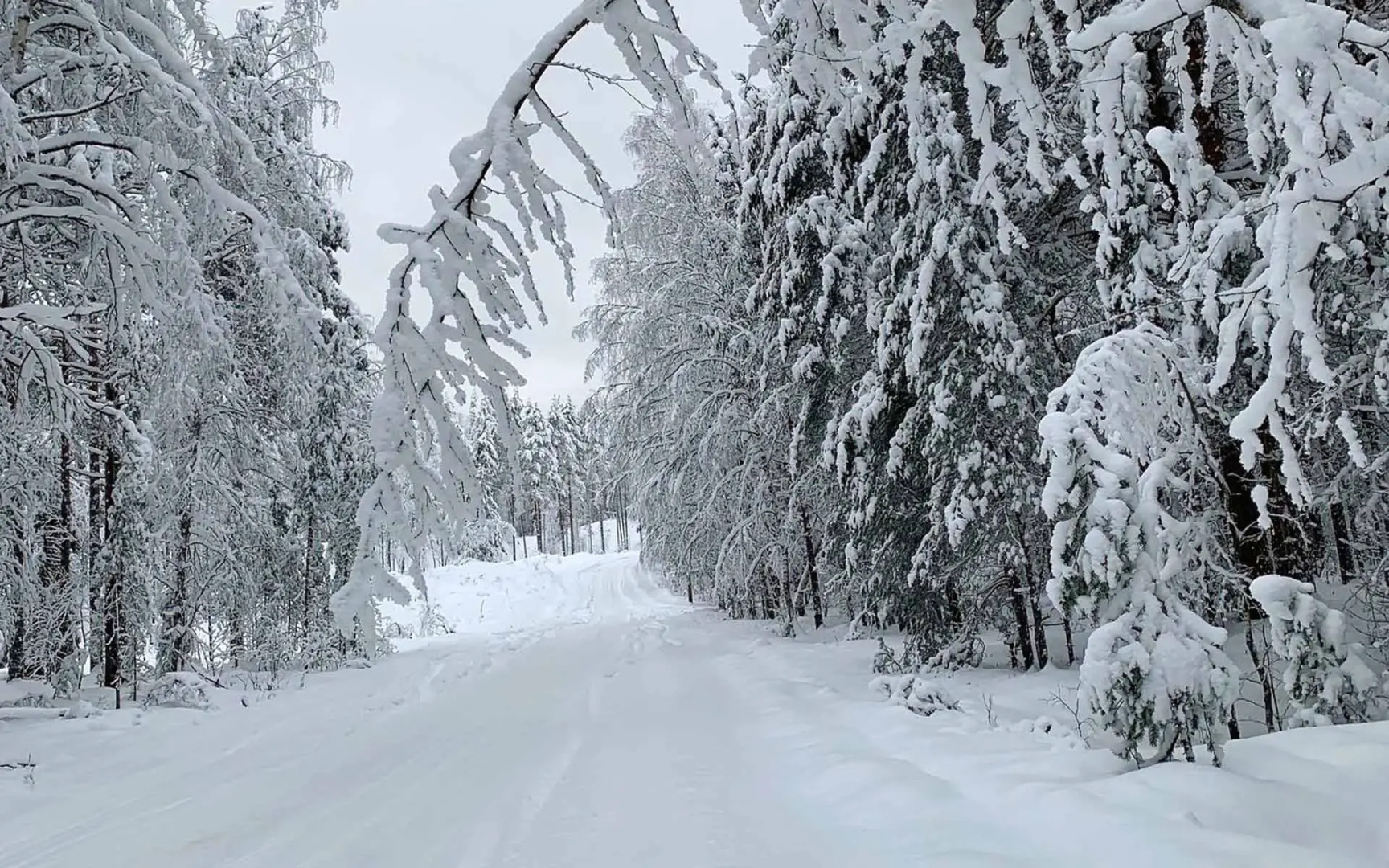 Гостевой Дом Вилла Ранду