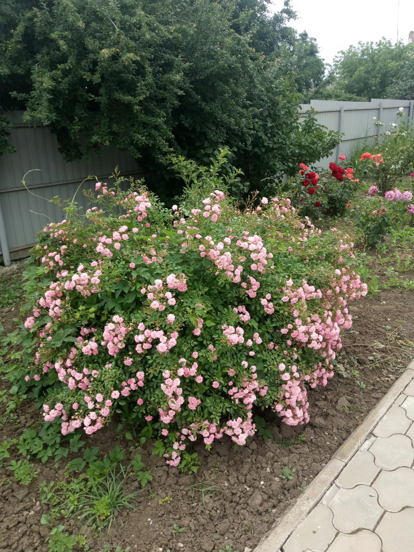 Гостевой дом Космос