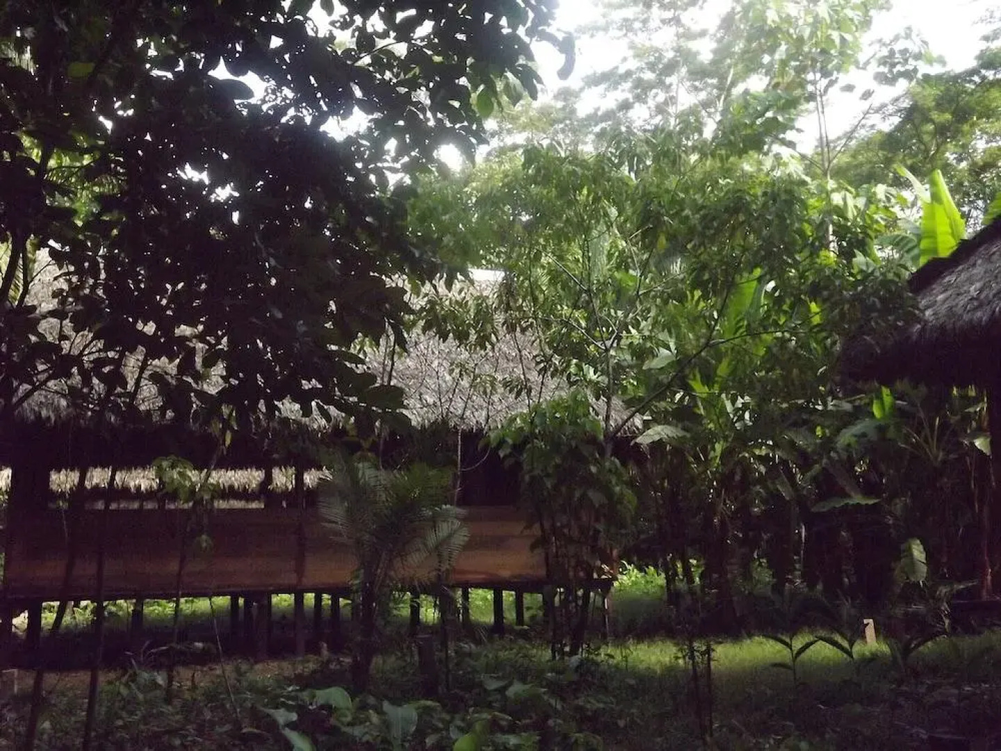 Гостевой Дом Ecolucerna Lodge