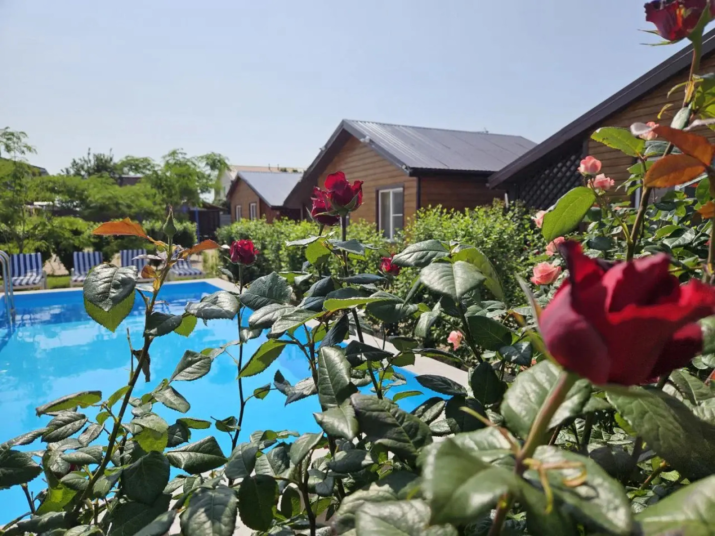 Апартаменты Holiday Home at Frunze