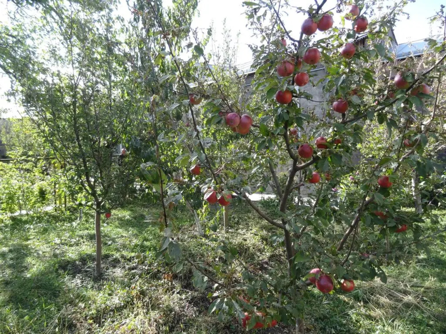 Хостел Artush & Raisa B&B