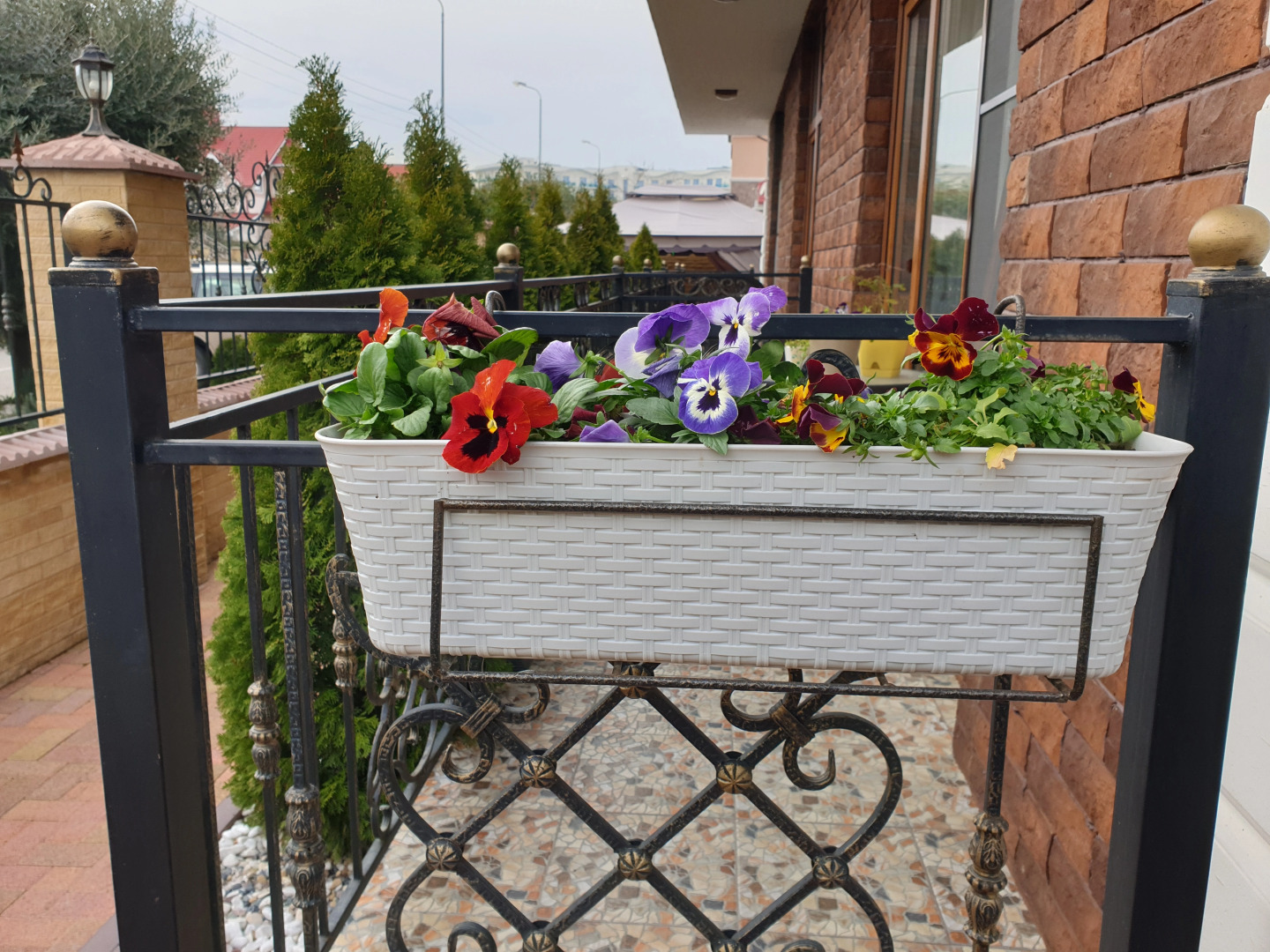 Гостевой дом Celentano