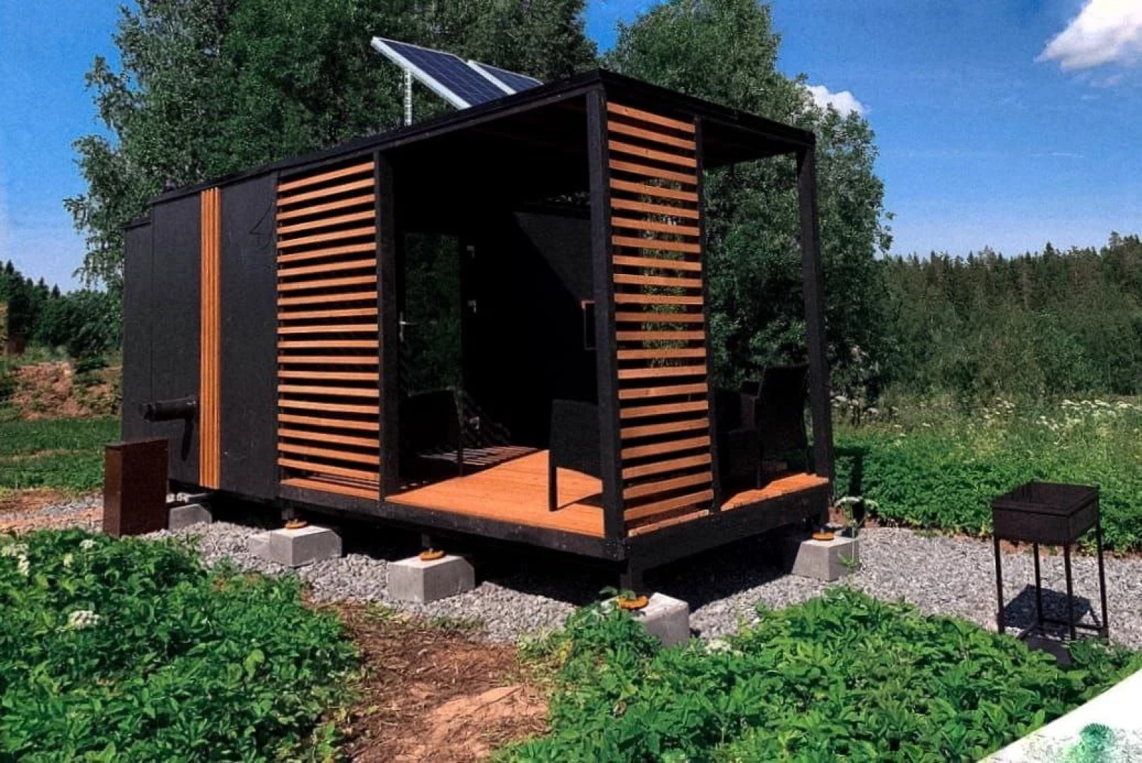 Папоротник