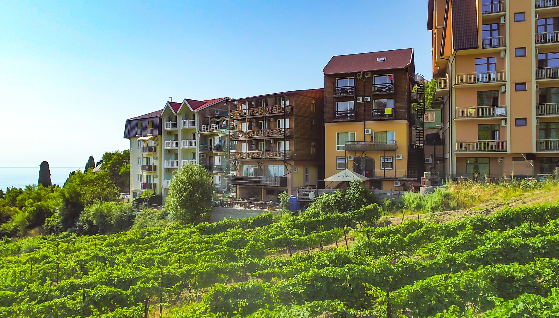 Отель Виола