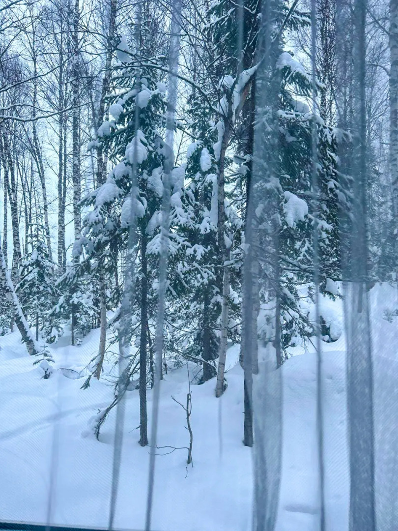 Частный Дом Брусника № 1