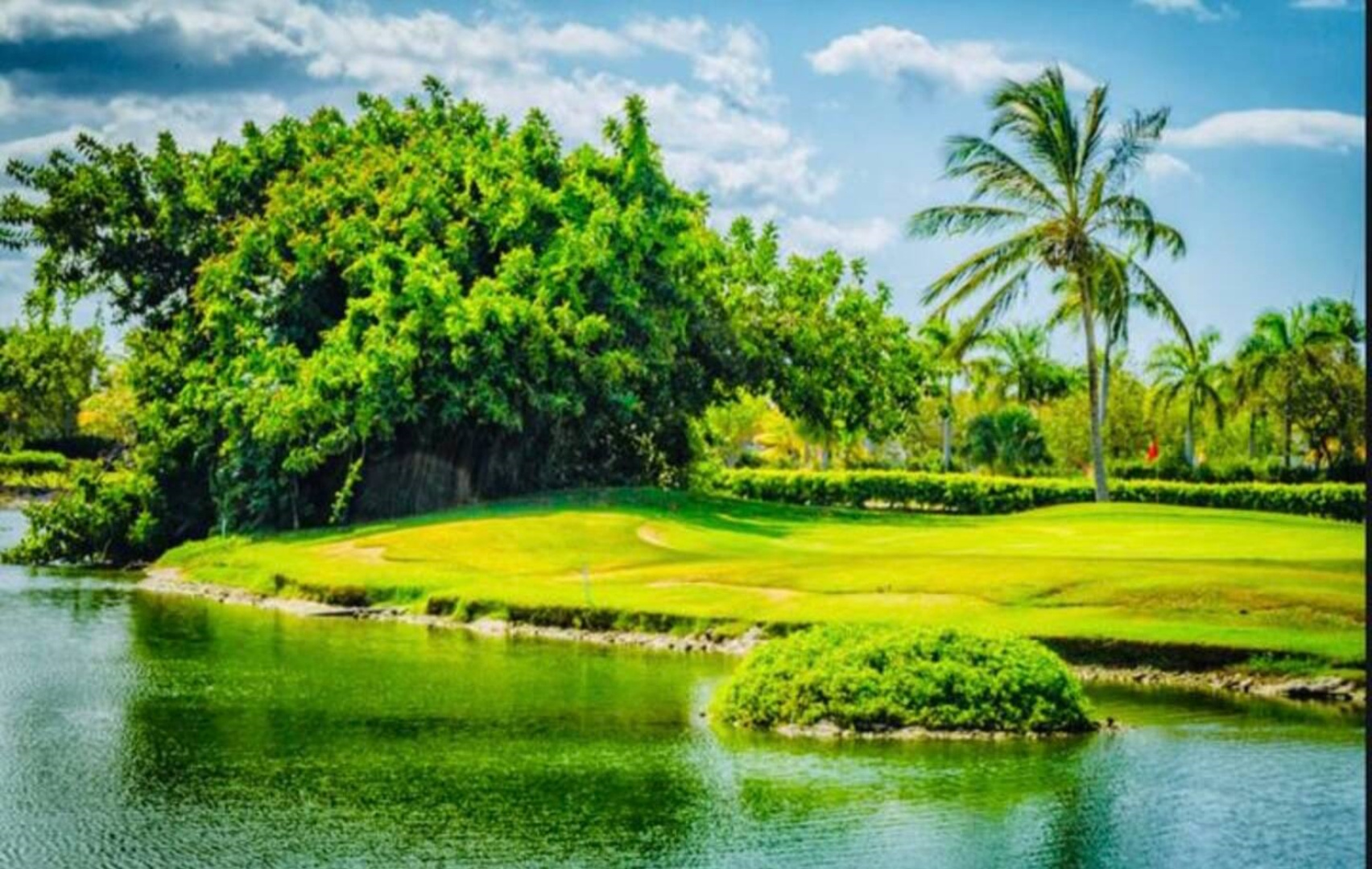 Апартаменты Globalstay Cocotal Condo in Punta Cana