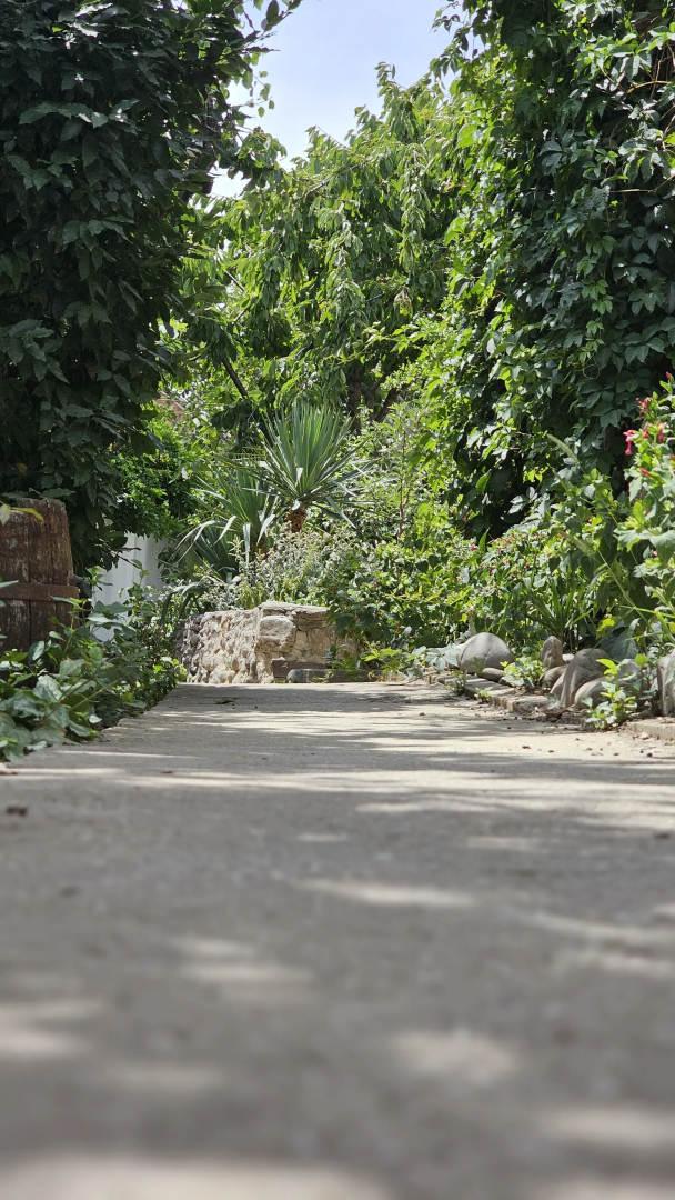 Гостевой Дом Янаки