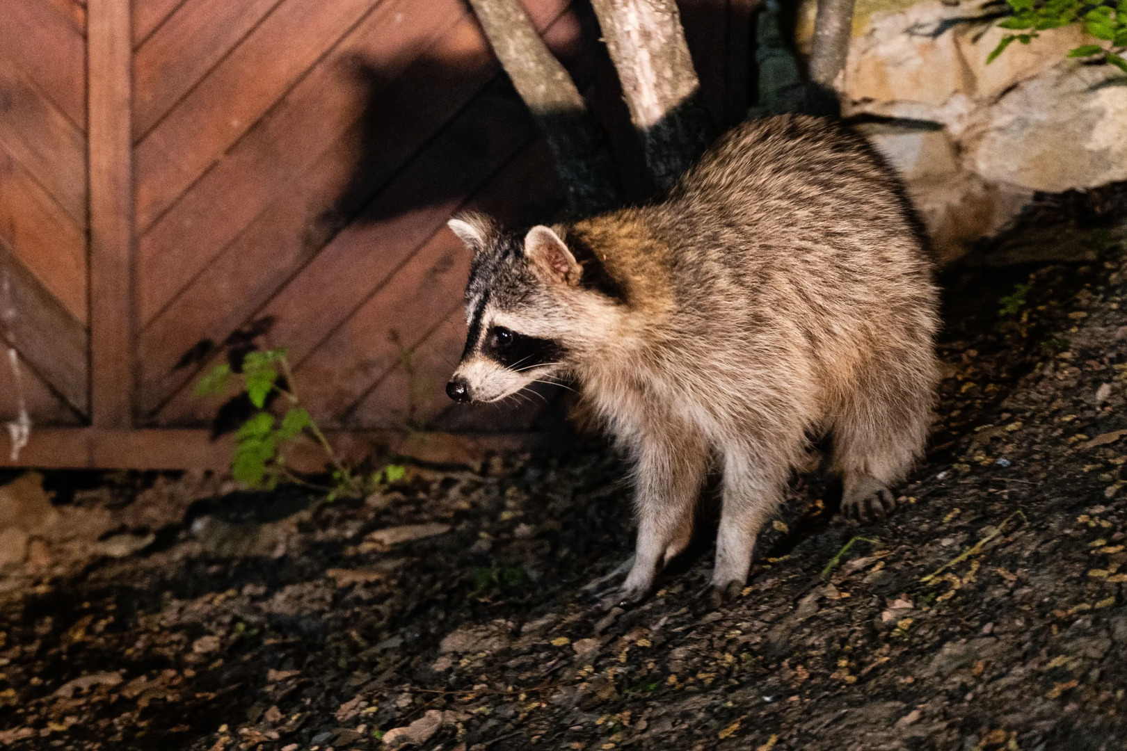 Гостевой дом Предгорье Сукко