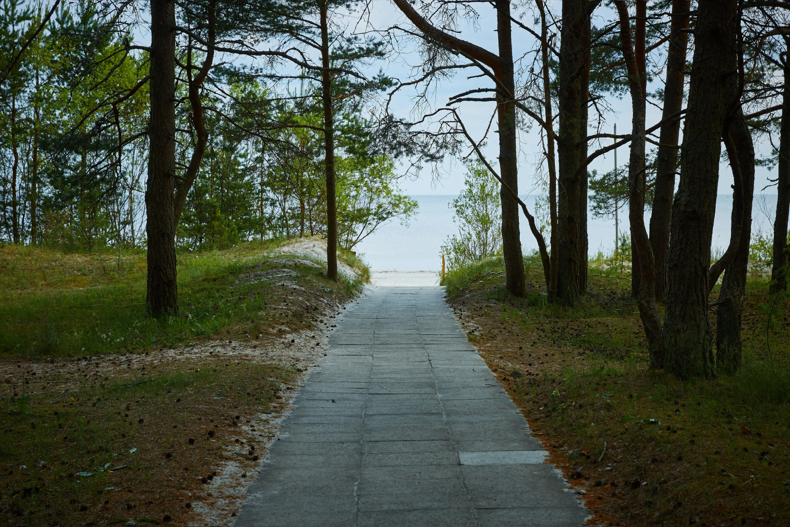 Санаторий Янтарный Берег