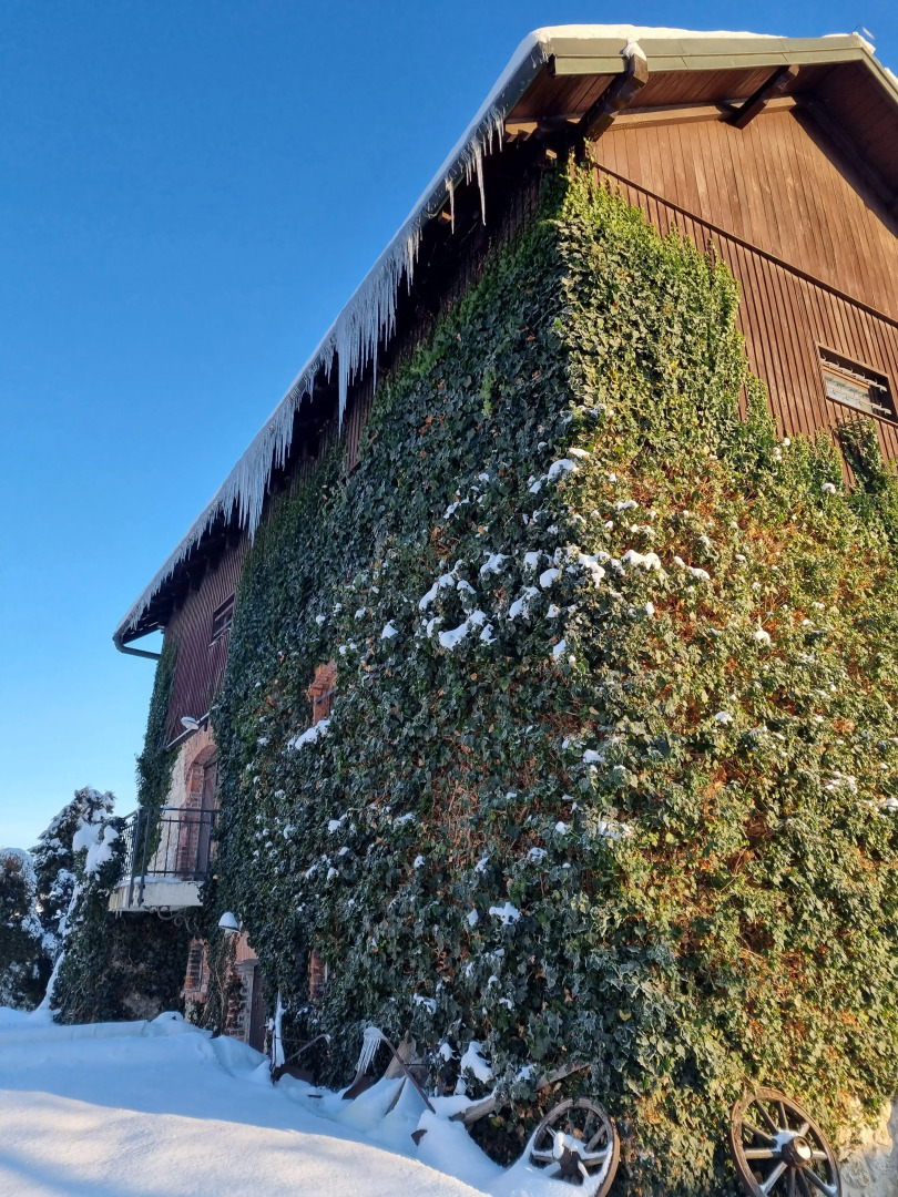 Dwór w Tomaszowicach