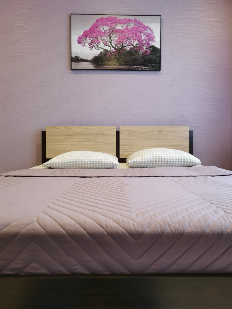 Апартаменты Pandora planet