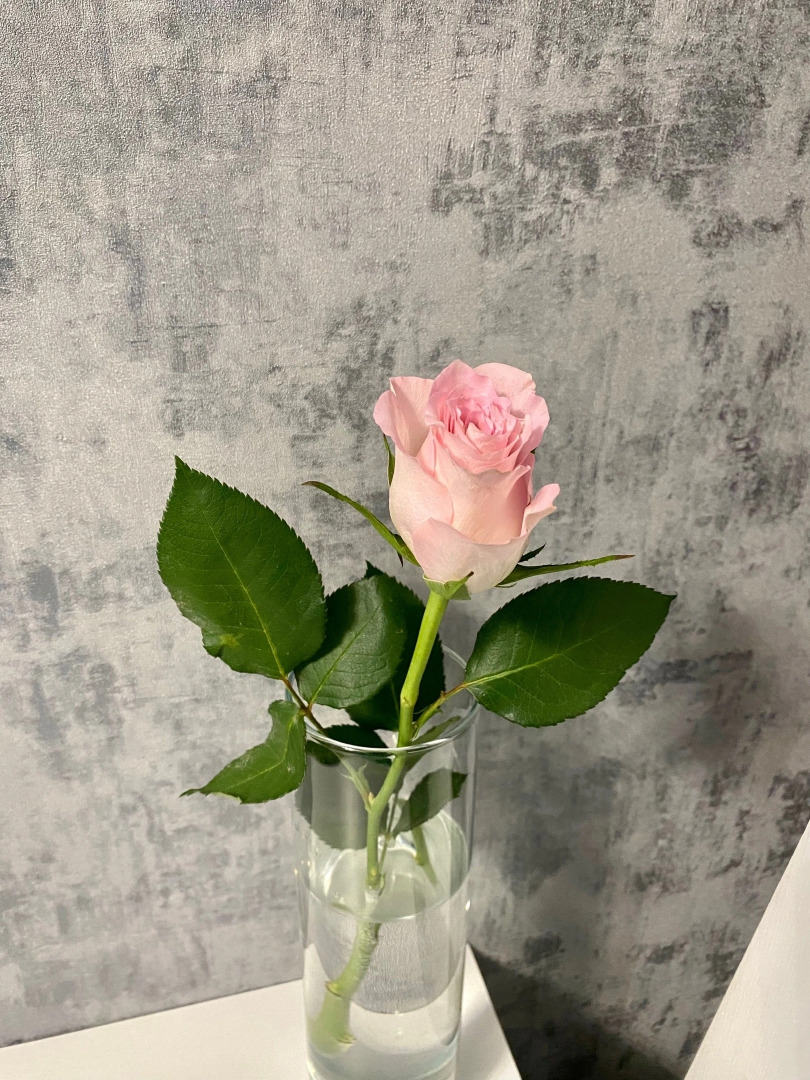 Апартаменты Queen Rooms