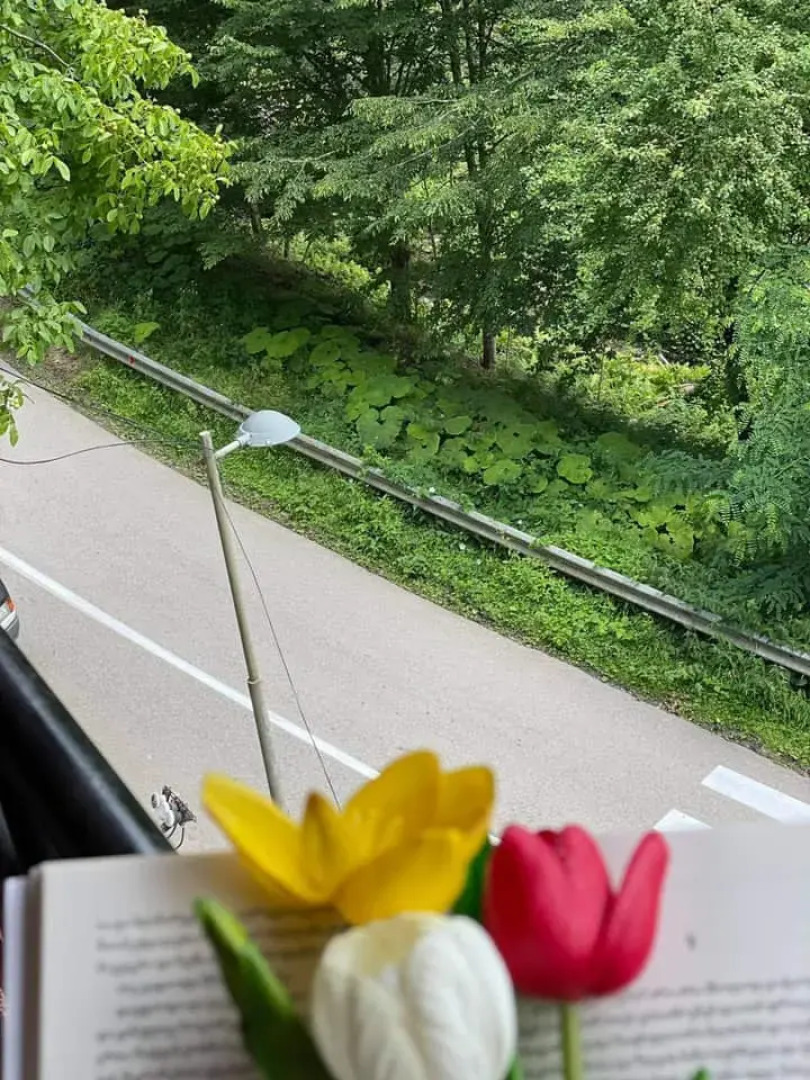 Отель Apartment Sairme