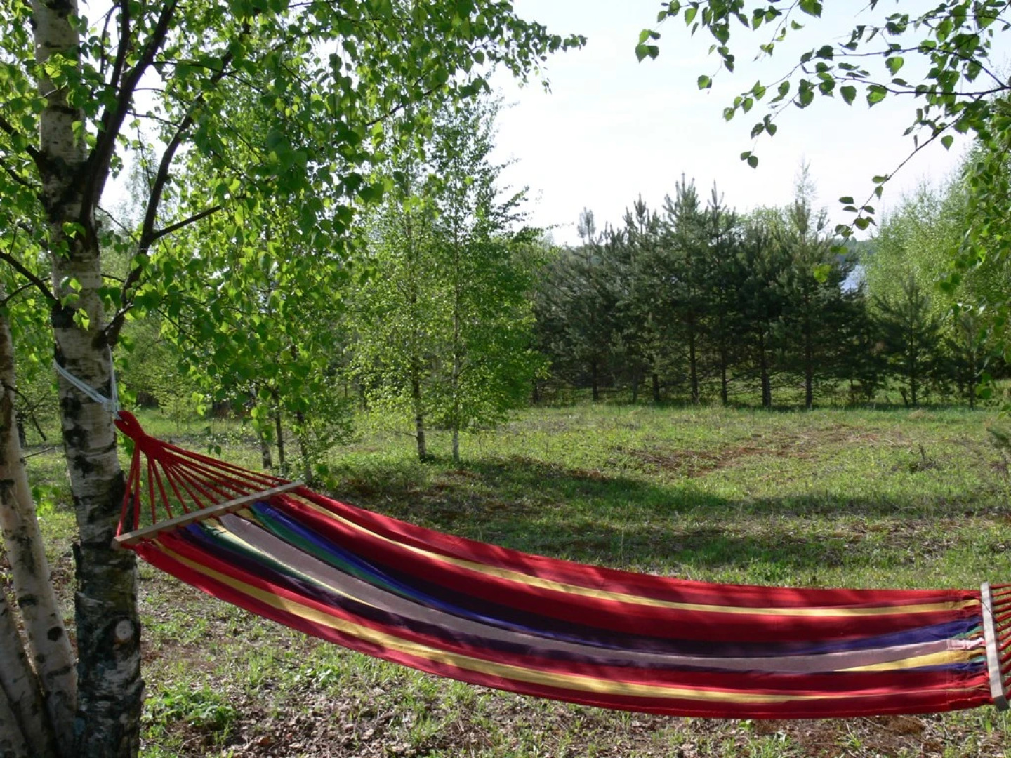 Кемпинг International Camp club Bereg Best Beach Stylish Coastline Ukleyno Lake National Park Valdai