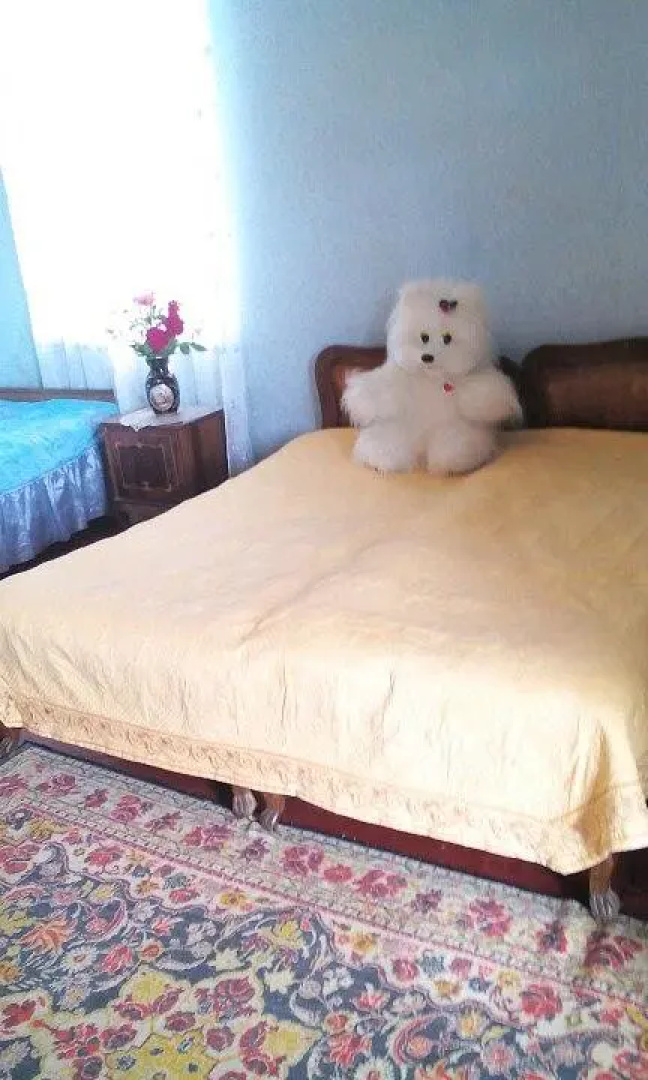 V Kingi Guest House