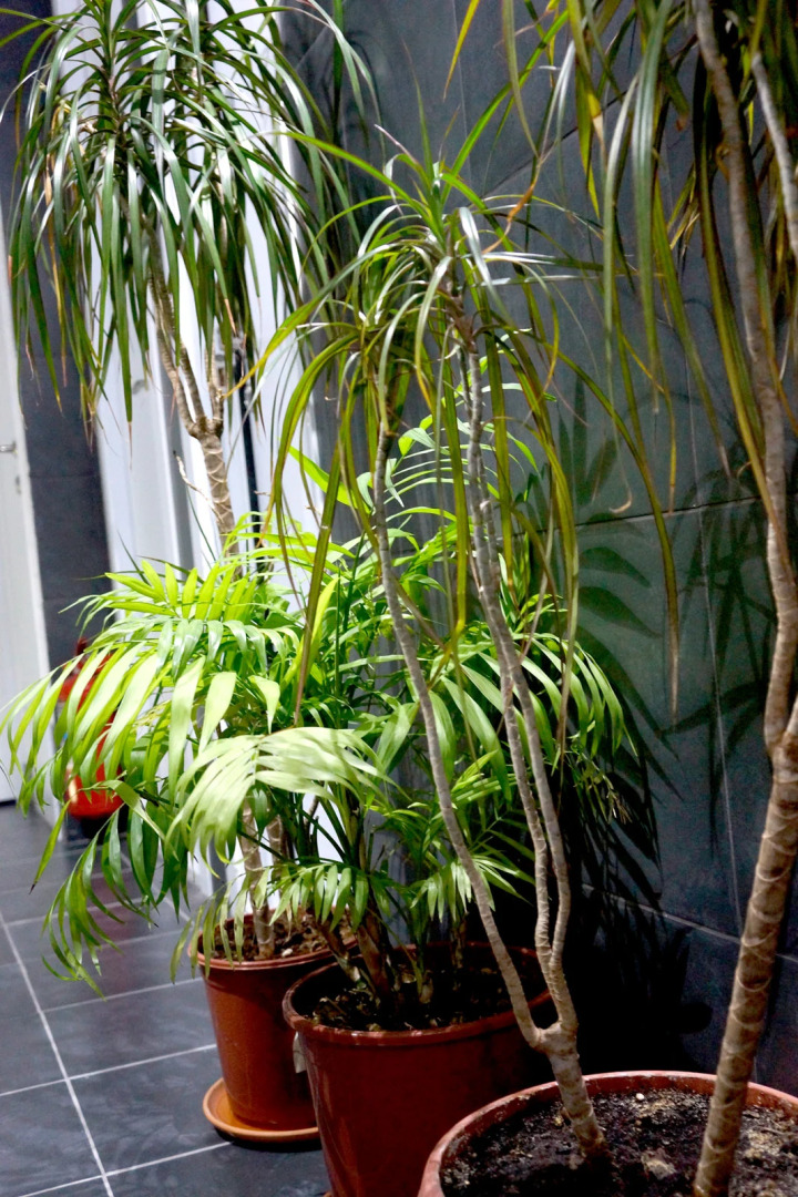 Мини-отель Стерео