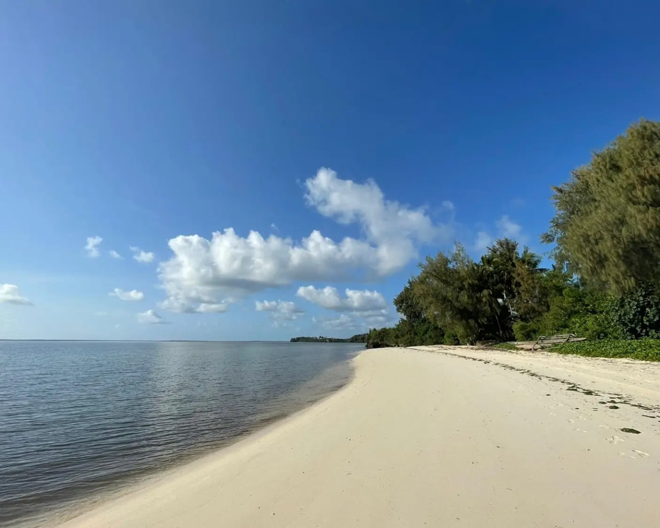 Отель Five Palms