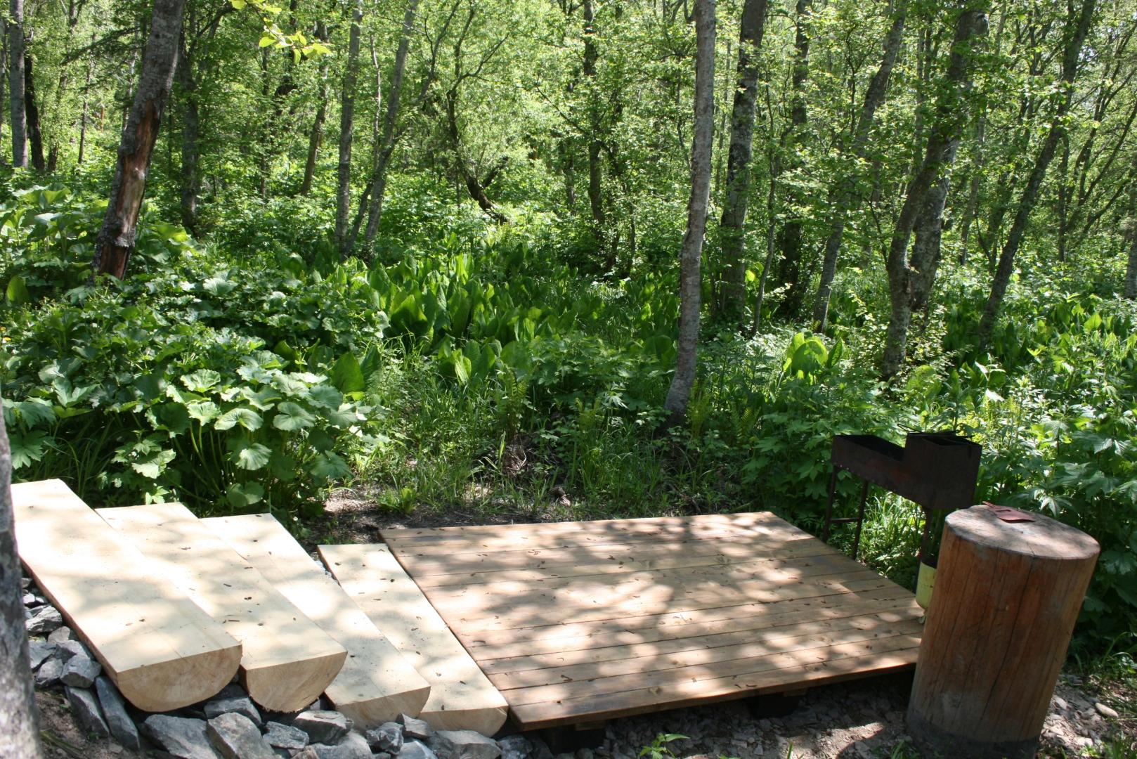 База Отдыха Елочки