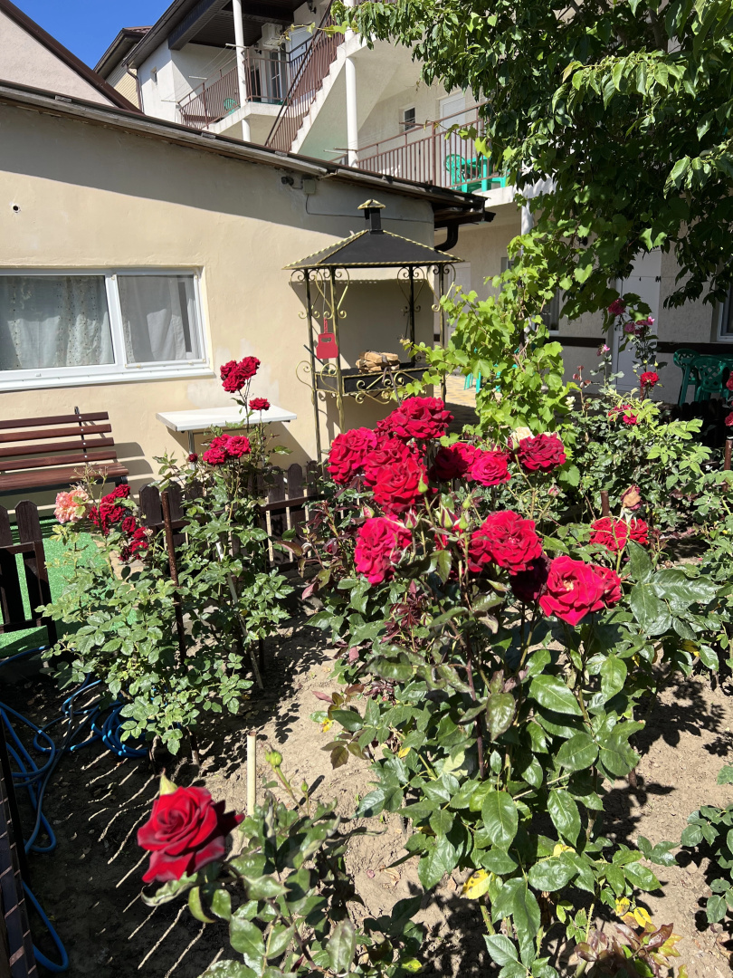 Guest House Orhideya