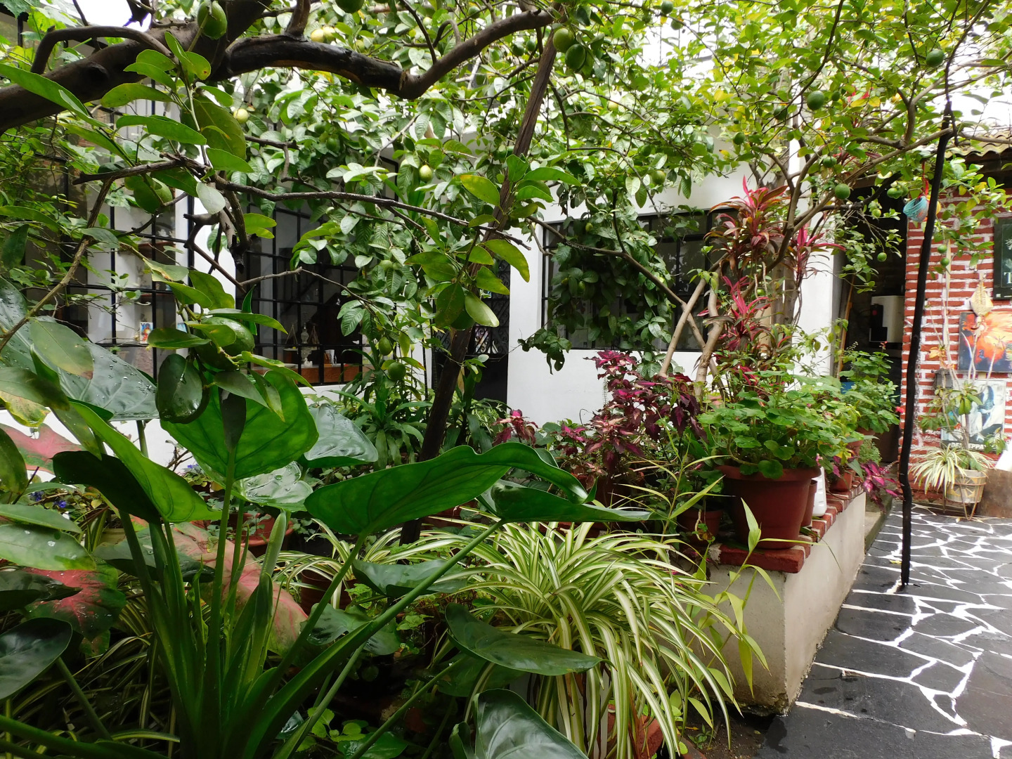 Отель María Bonita by Rotamundos