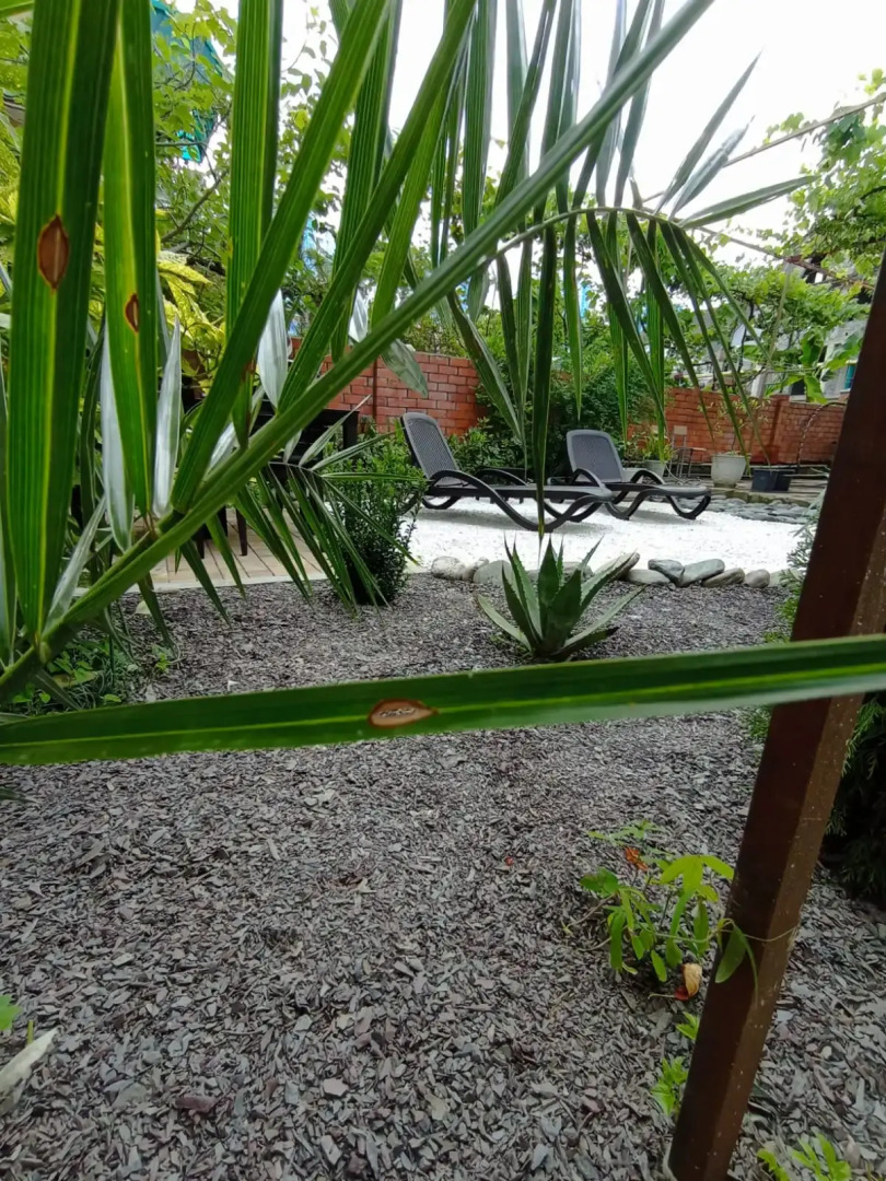 Гостевой дом Море рядом